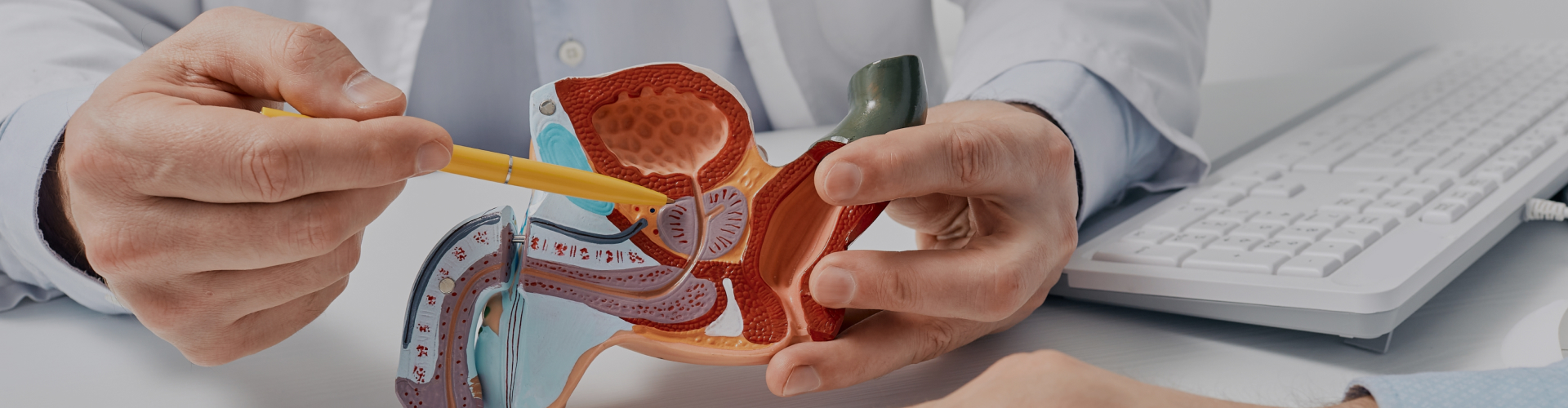 Carcinoma Prostate