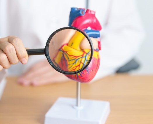 Monitor the flow of blood to the heart muscles