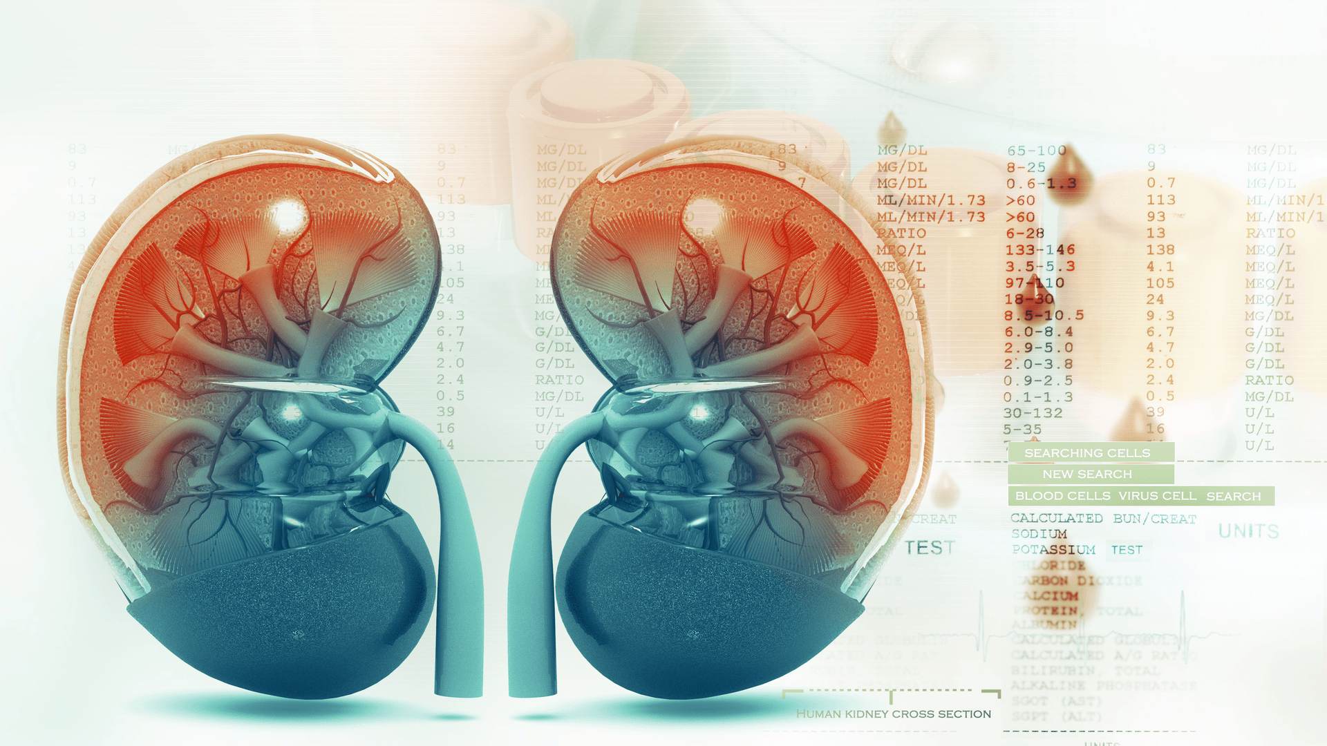 Acute Kidney Failure