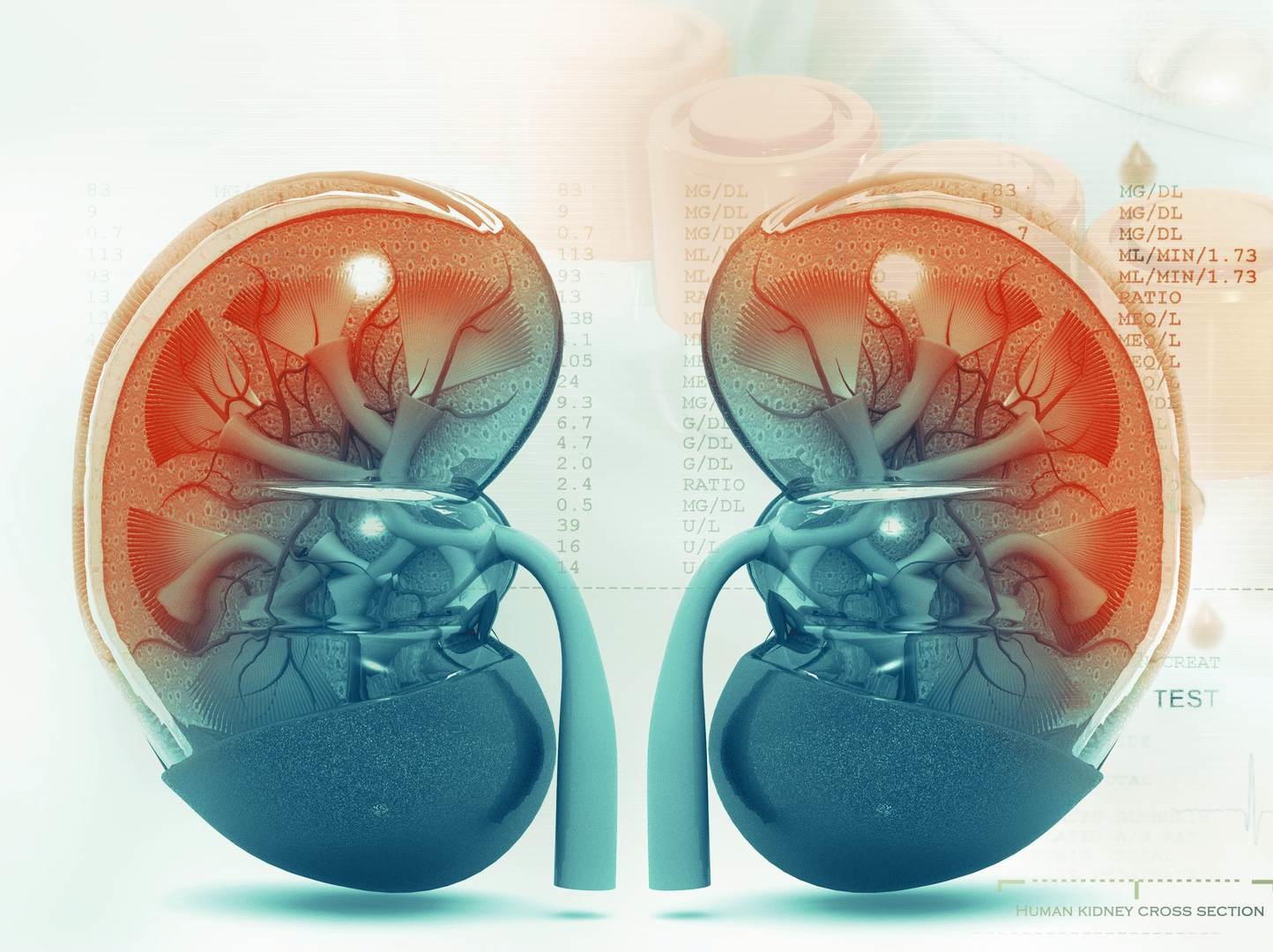 Critical Care Nephrology