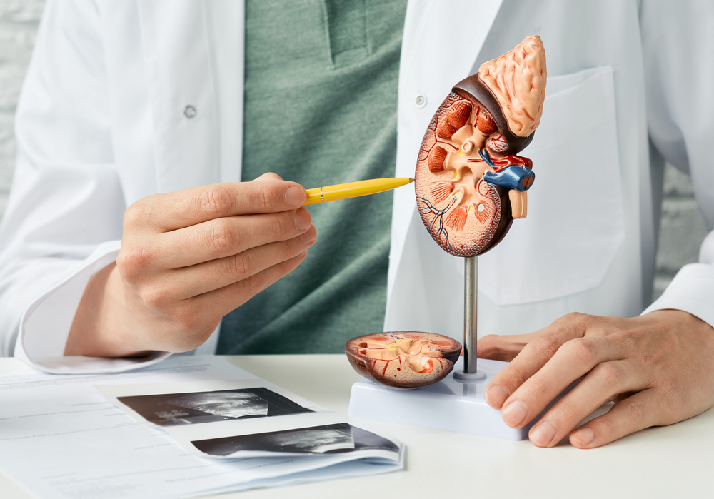 Chronic Kidney Disease (CKD)