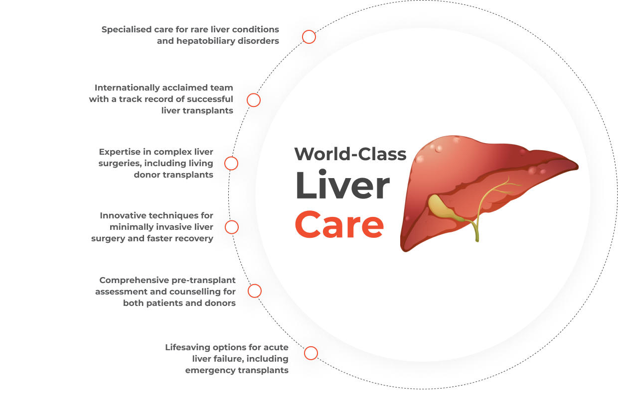 Liver Transplant