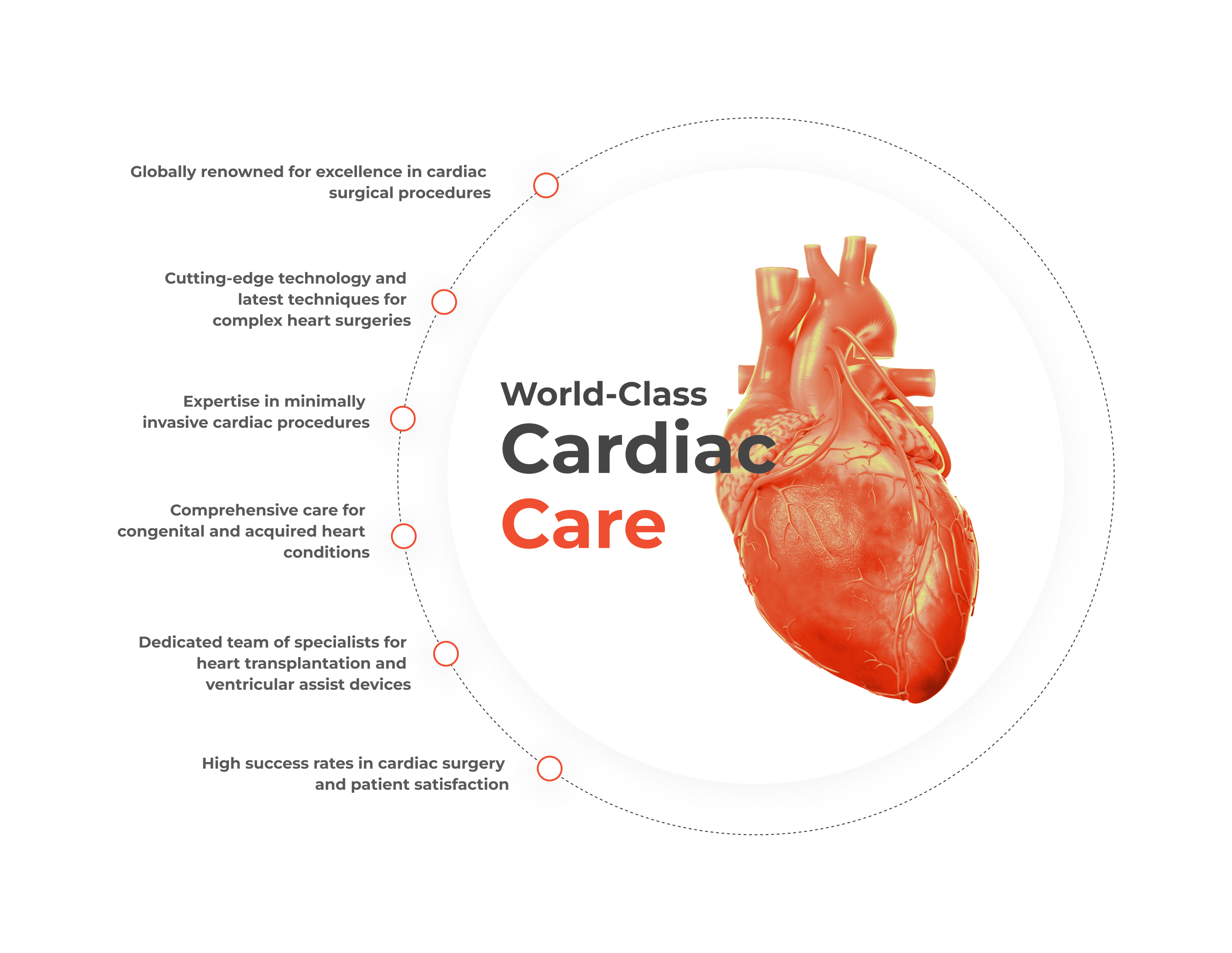 Cardiology