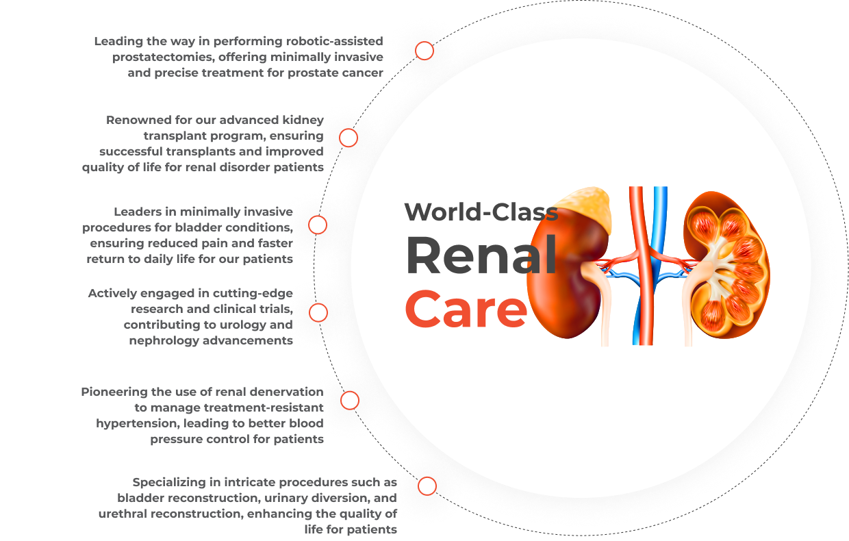 urology-nephrology