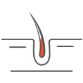 clinical-dermatology