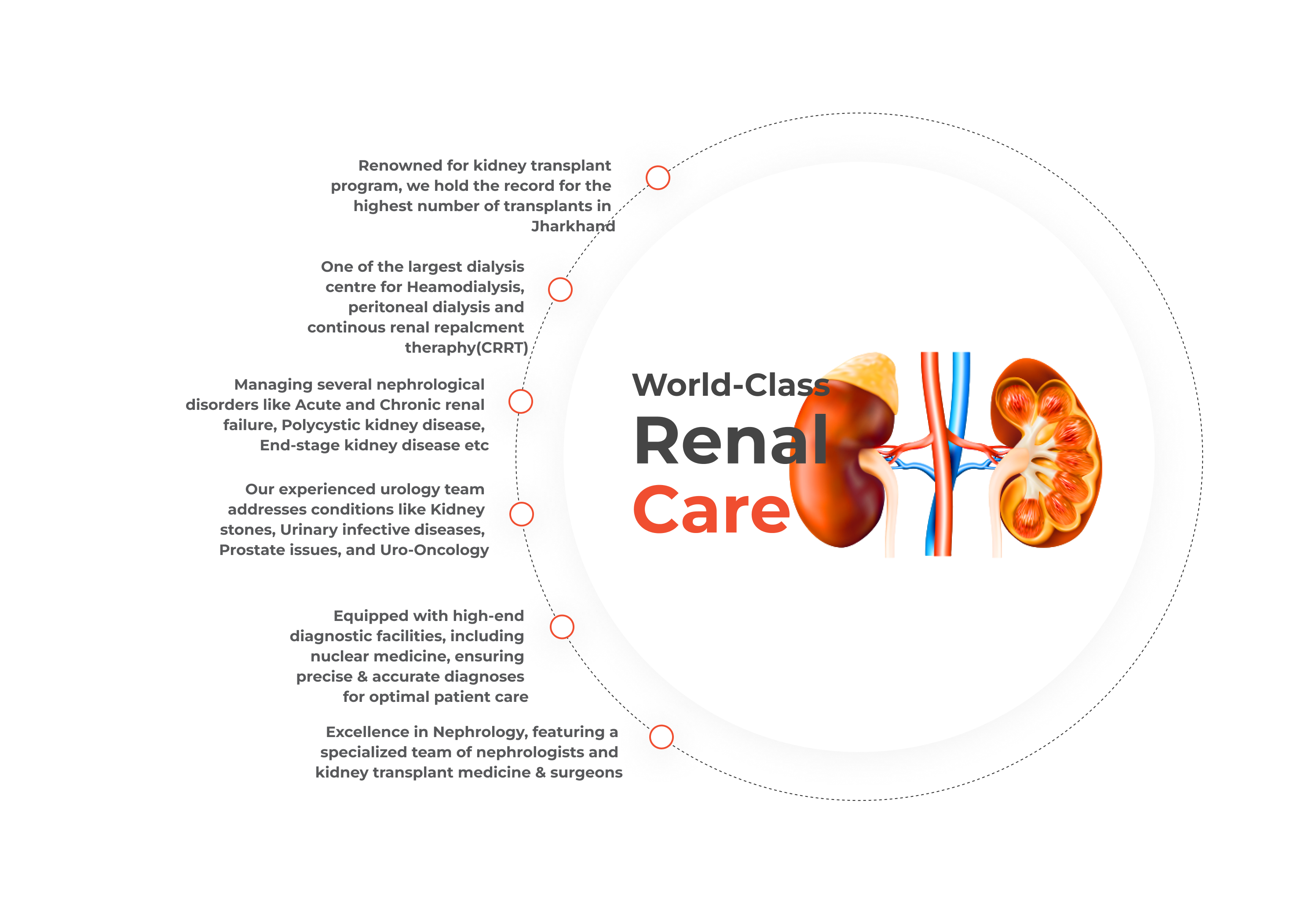 urology-nephrology