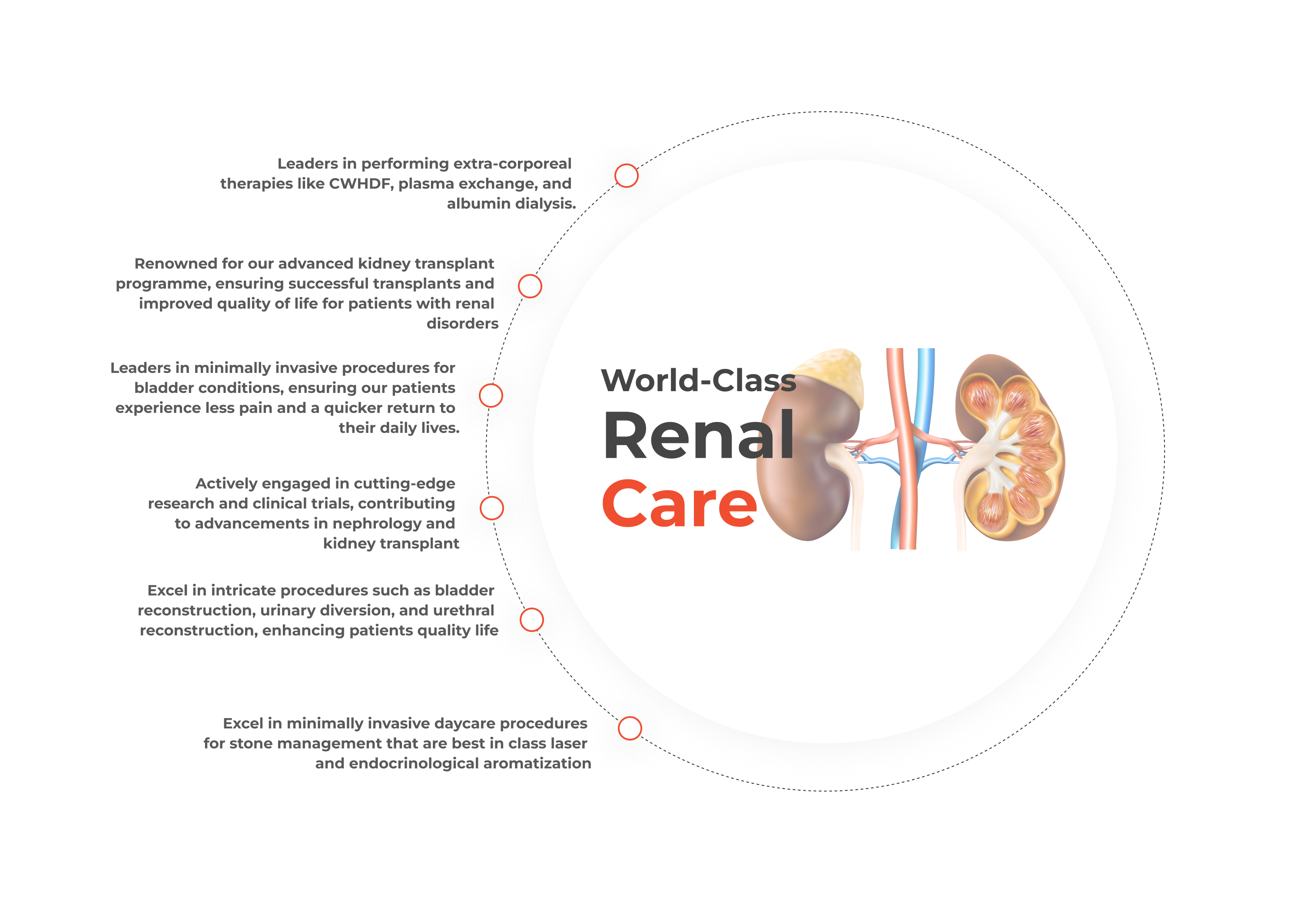 urology-nephrology