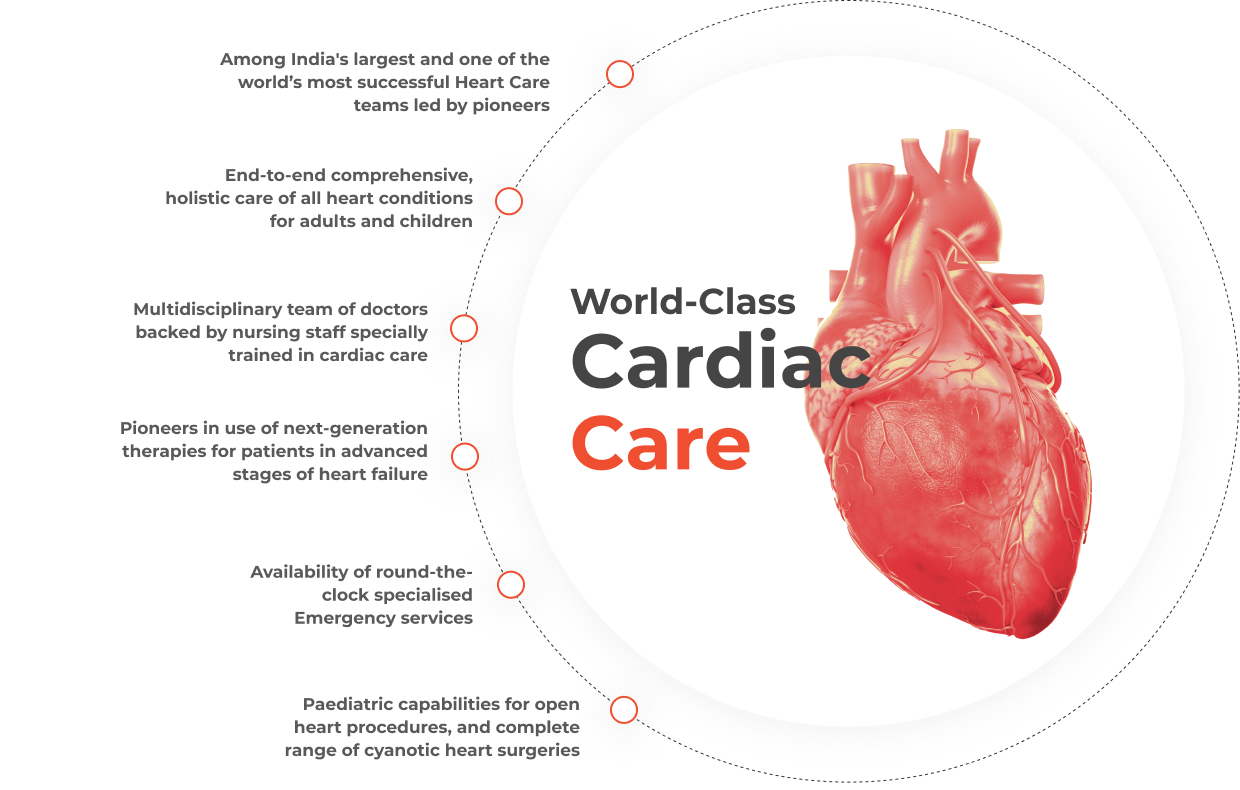 cardiology