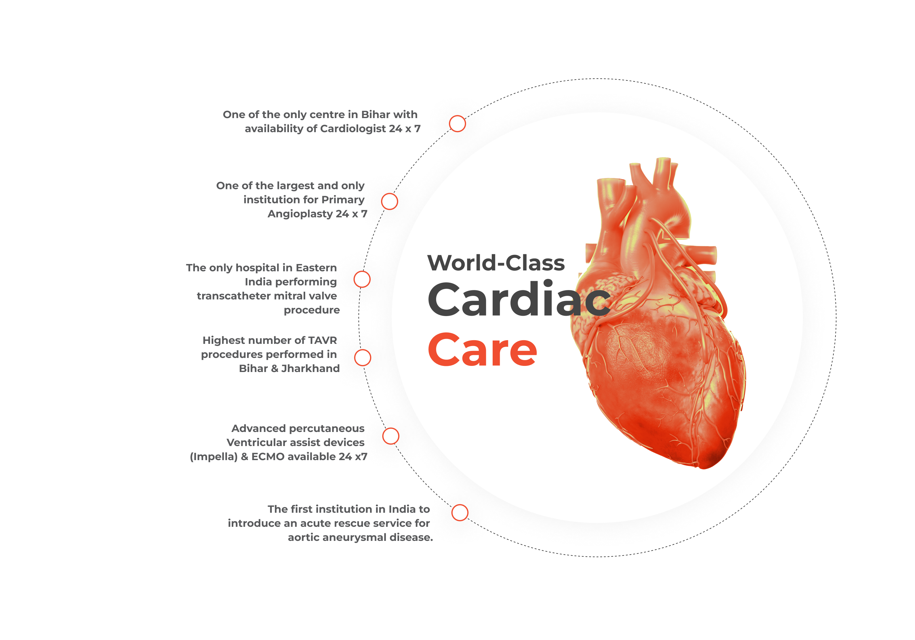 cardiology