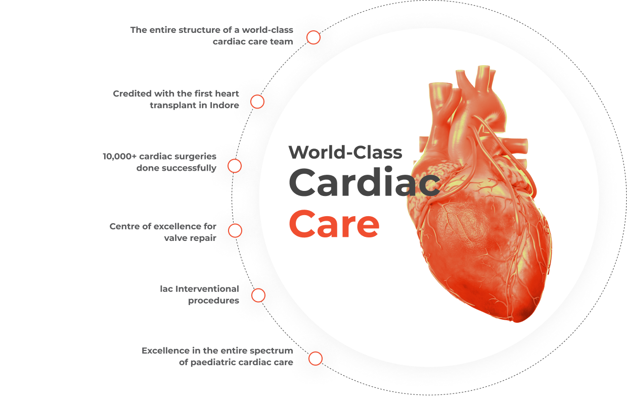 cardiology