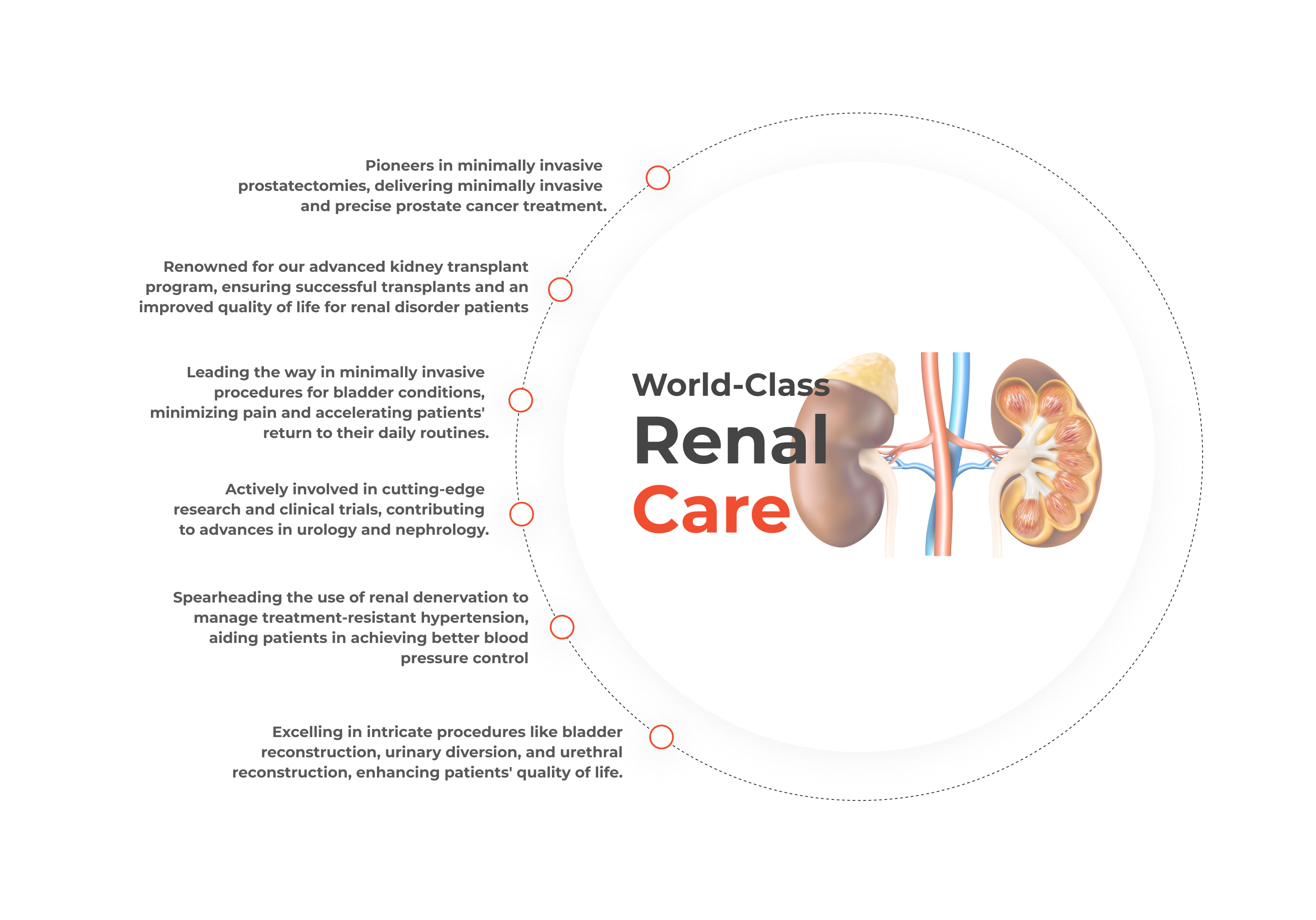 Urology and Nephrology