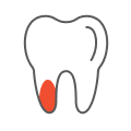 Endodontics & Restorative Dentistry 