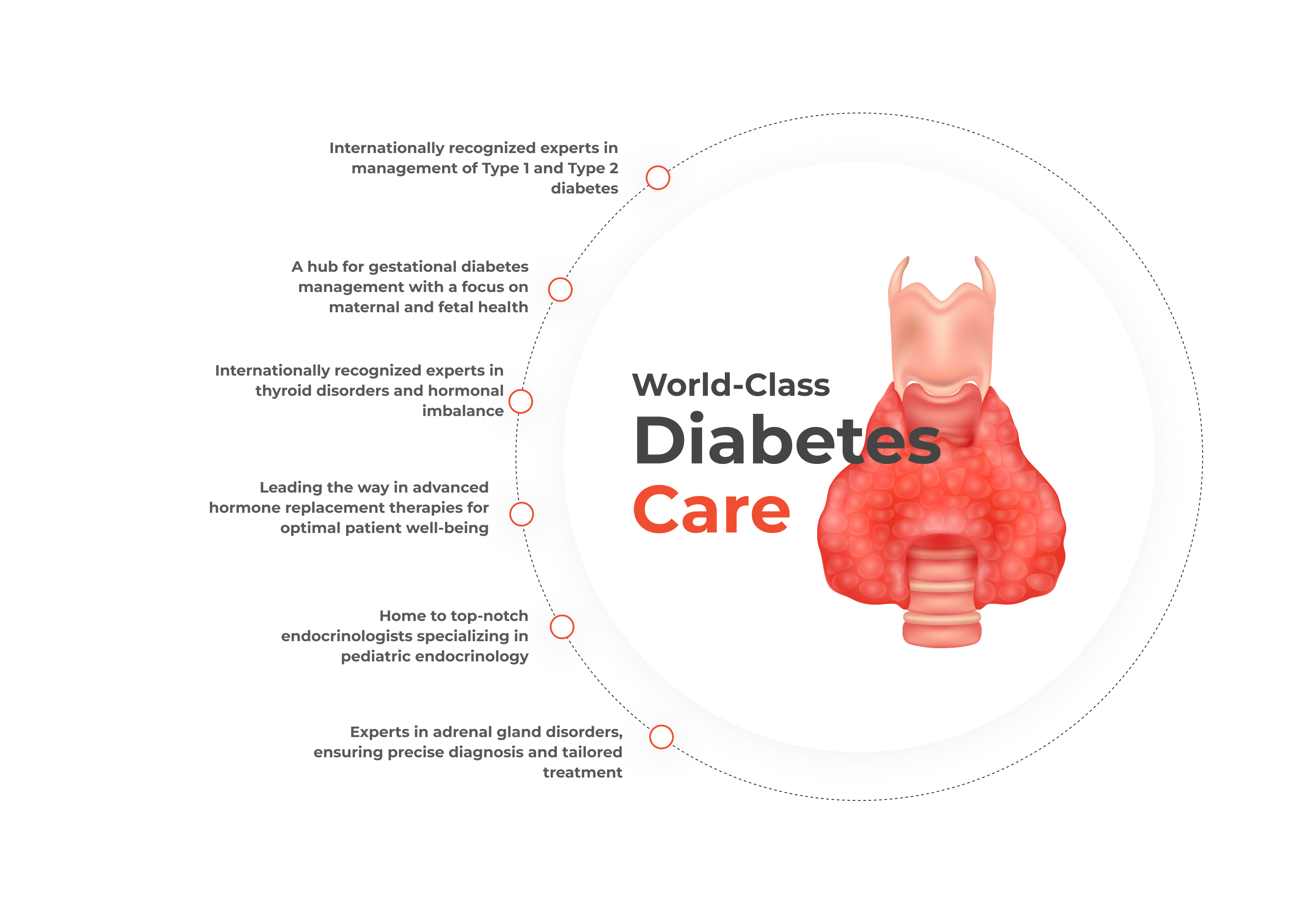 Endocrinology & Diabetology