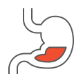 Gastroenterology and Hepatology