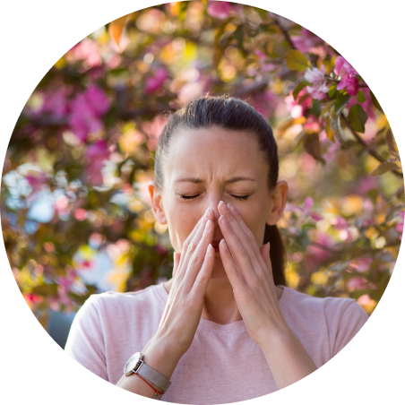 Allergic Rhinitis causes